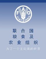 聯(lián)合國糧農(nóng)組織對(duì)木質(zhì)包裝作出新規(guī)定
